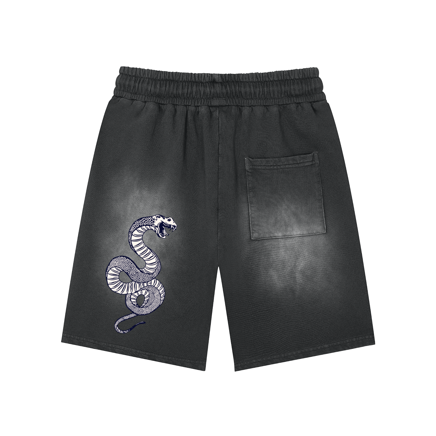 Airborne washed shorts
