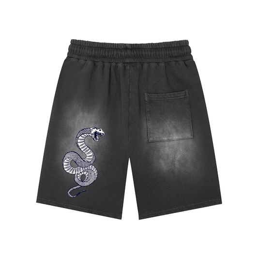 Airborne washed shorts